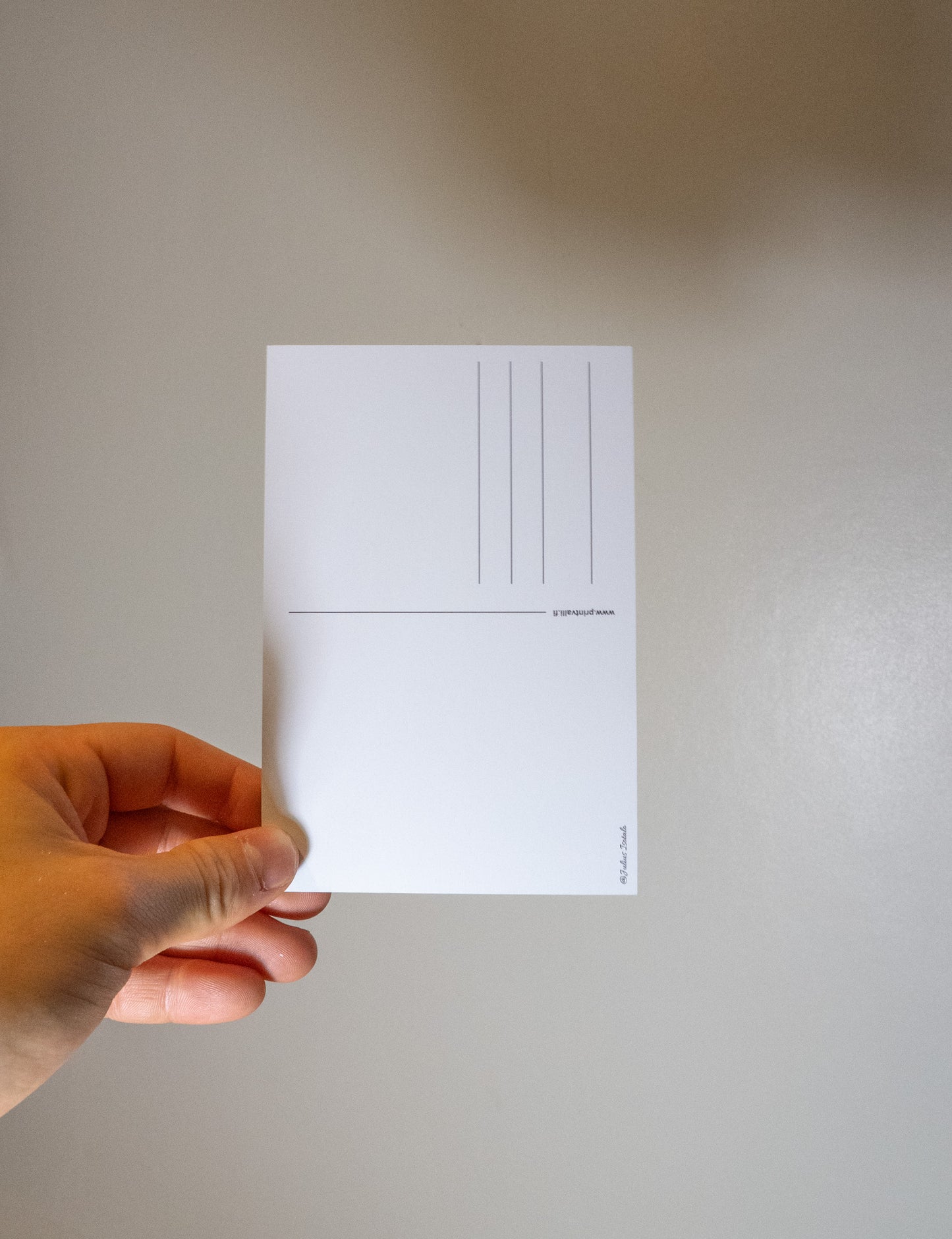 Joulukortti 2026 "Kuukkelin lentoonlähtö" 5kpl. HUOM! POSTITUKSET VAIN KALENTERIN KANSSA!