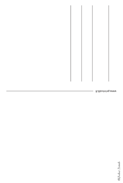 Joulukortti 2026 "Kuukkelin lentoonlähtö" 5kpl. HUOM! POSTITUKSET VAIN KALENTERIN KANSSA!