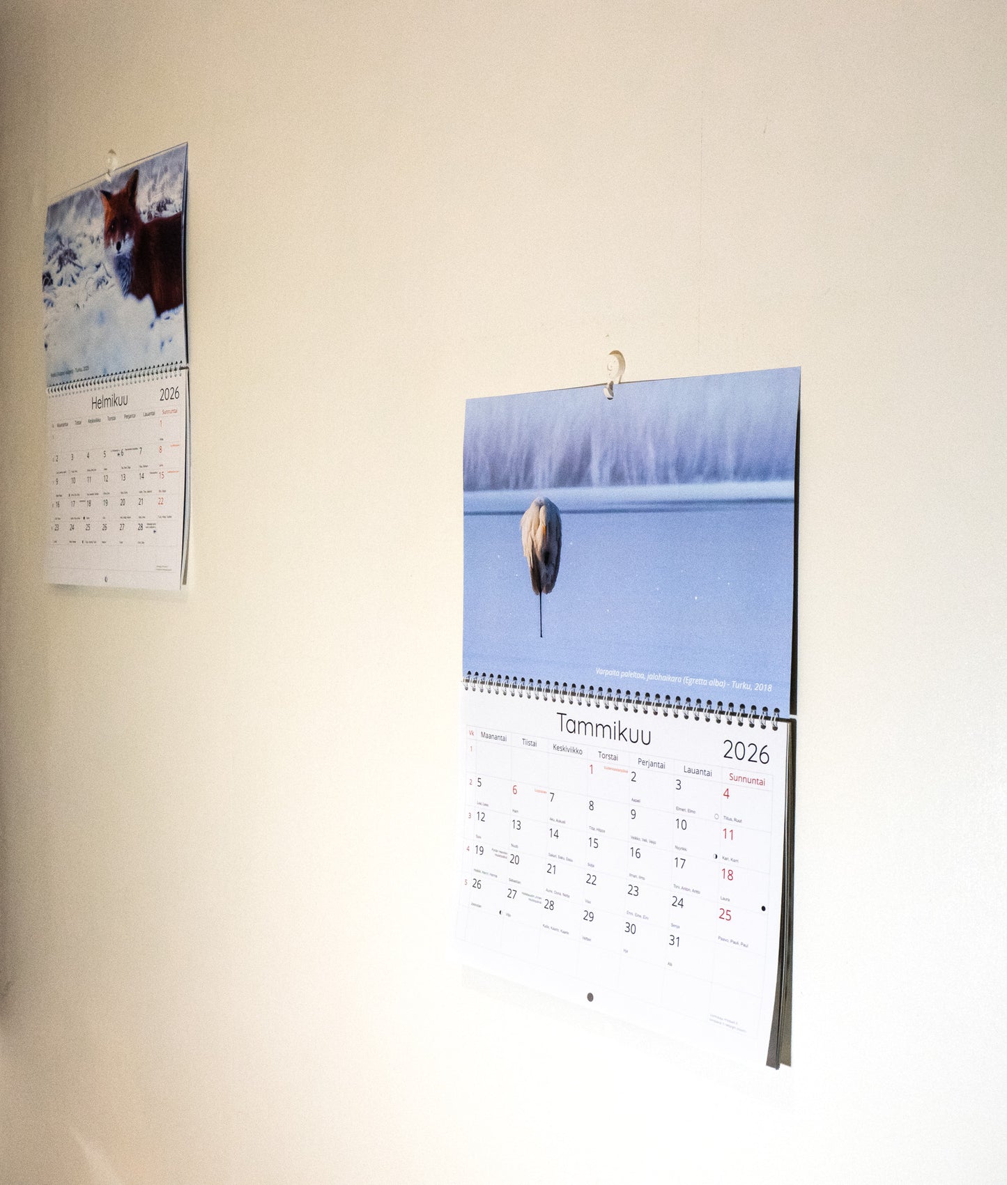 Luontokalenteri 2026