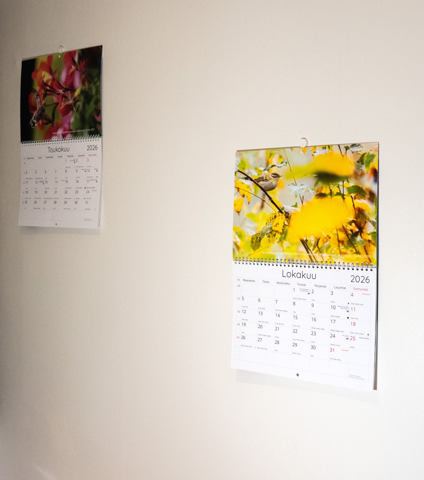 Luontokalenteri 2026