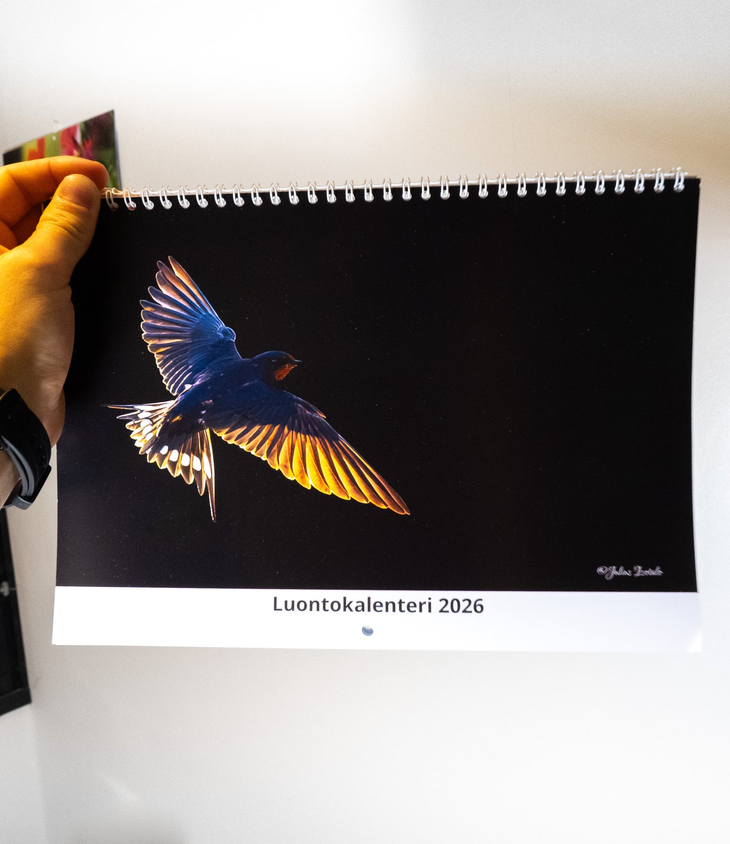 Luontokalenteri 2026