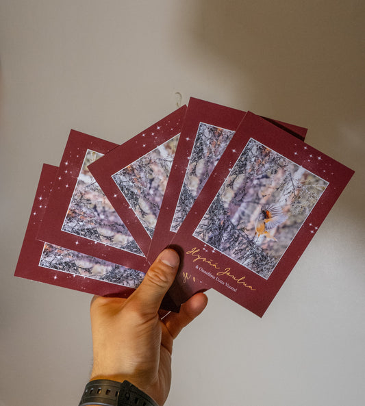 Joulukortti 2026 "Kuukkelin lentoonlähtö" 5kpl. HUOM! POSTITUKSET VAIN KALENTERIN KANSSA!